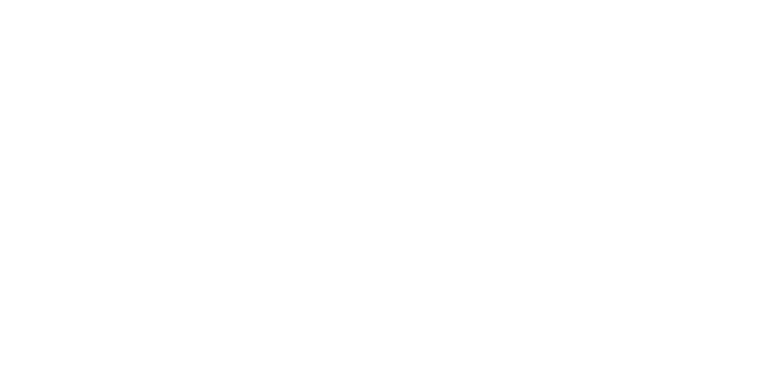 Exmec